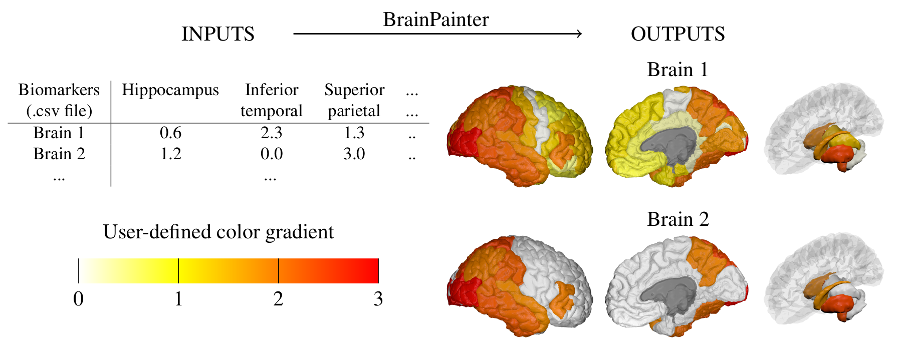 BrainPainter Diagram